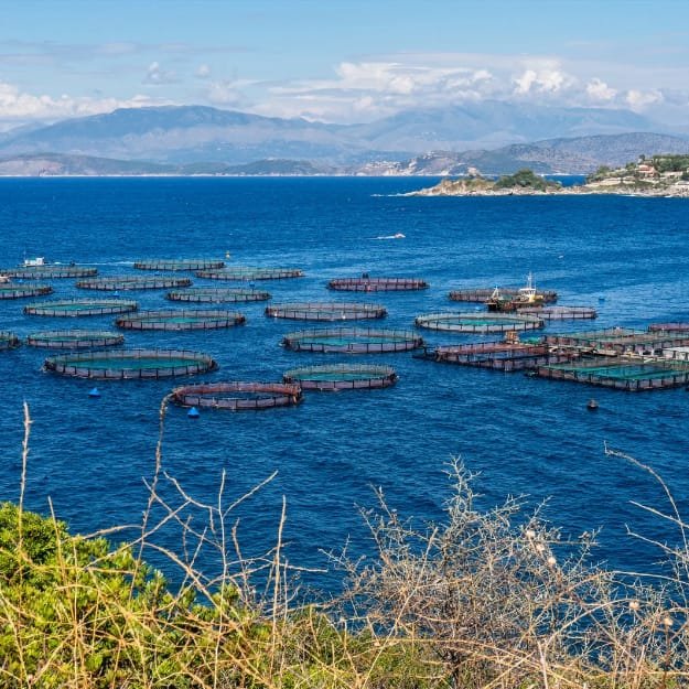 Aquaculture