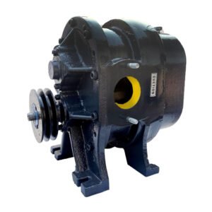 Bio Gas Blowers